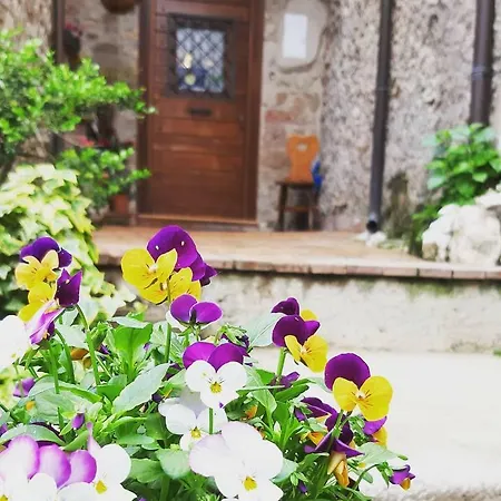 Rupe Antica Bed & Breakfast 3*