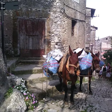 Panzió Rupe Antica Artena
