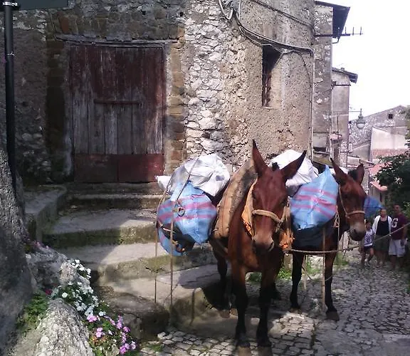 Bed & Breakfast Rupe Antica Artena