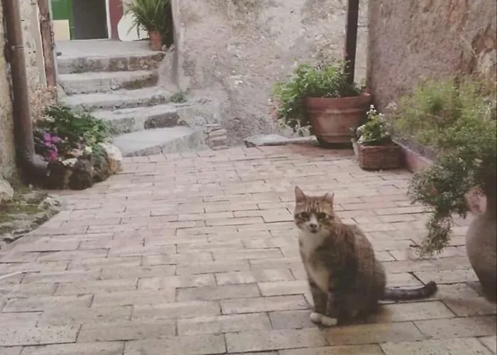 Rupe Antica 3* Artena