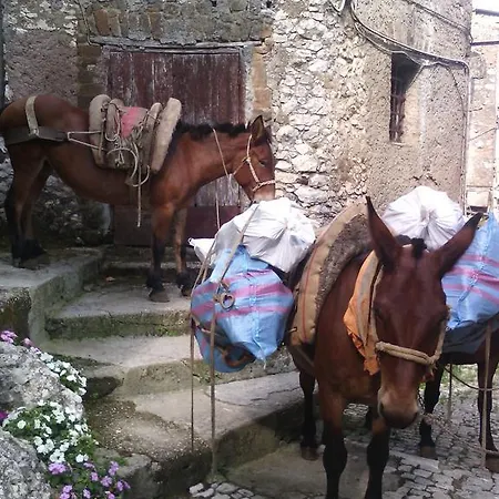 Bed & Breakfast Rupe Antica Artena